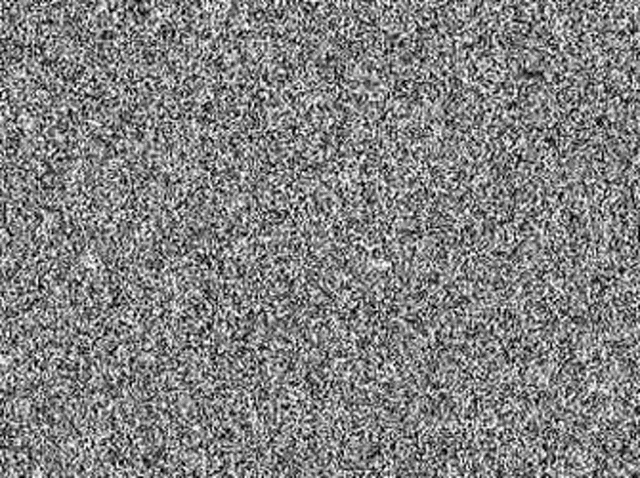 Platform Capture Feed